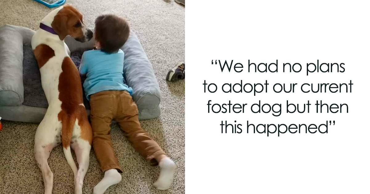 30 Of The Most Wholesome Rescue Pet Photos