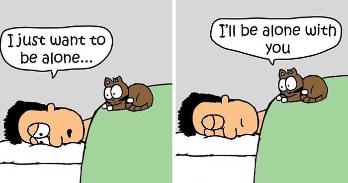 Artist Sums Up Life With A Cat In 23 Comics