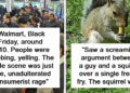 “The Squirrel Won”: 75 Public Moments So Chaotic People Still Can’t Believe They Saw Them