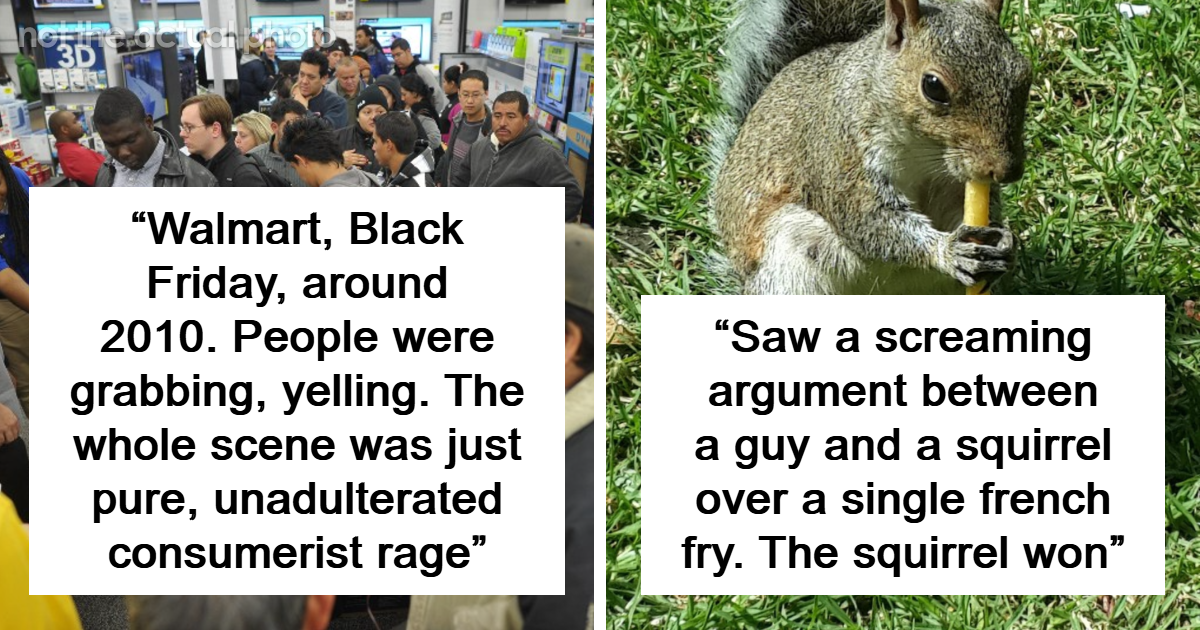 “The Squirrel Won”: 75 Public Moments So Chaotic People Still Can’t Believe They Saw Them