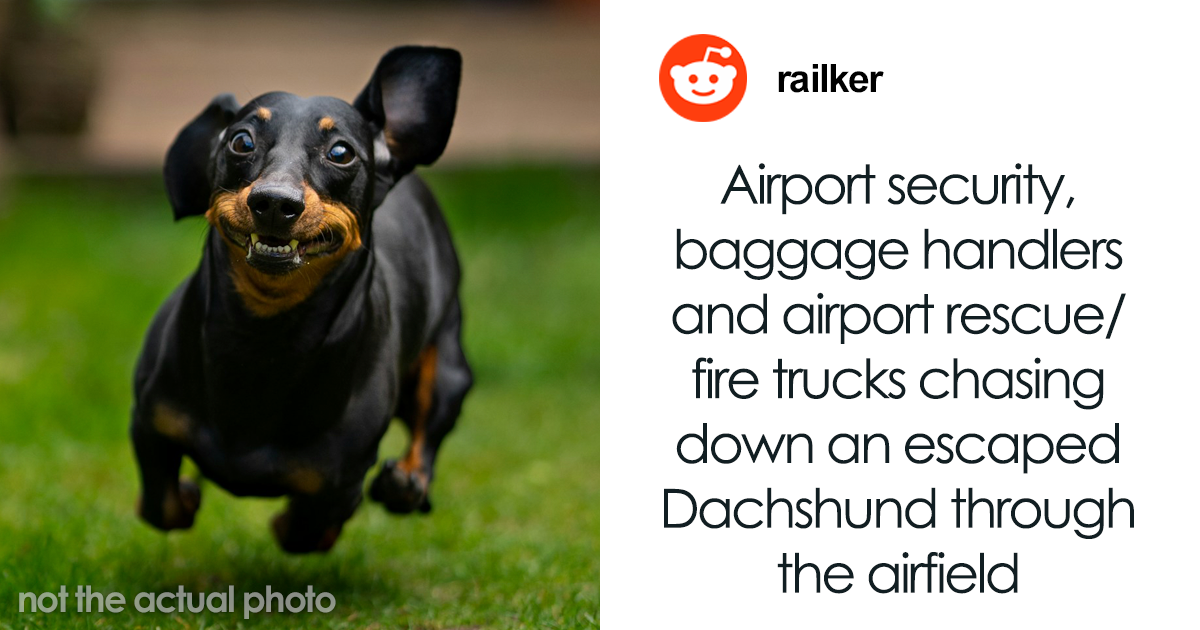 42 Crazy Airport Stories That Are Hard To Believe