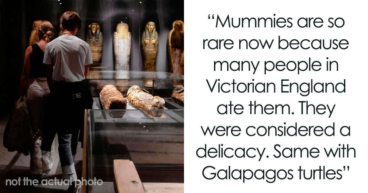 People Online Share Crazy Facts They Know, Here Are The 51 Of The Best Ones