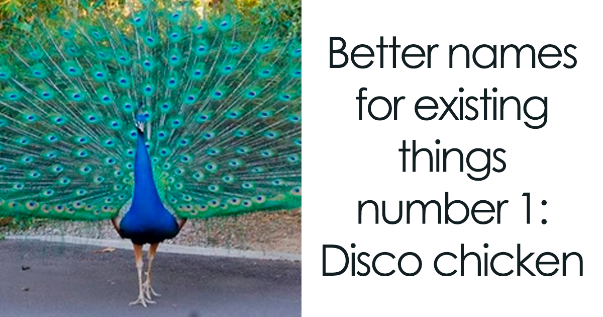 If You’re Feeling Heavy Today, Here Are 53 Adorable And Lighthearted Animal Memes