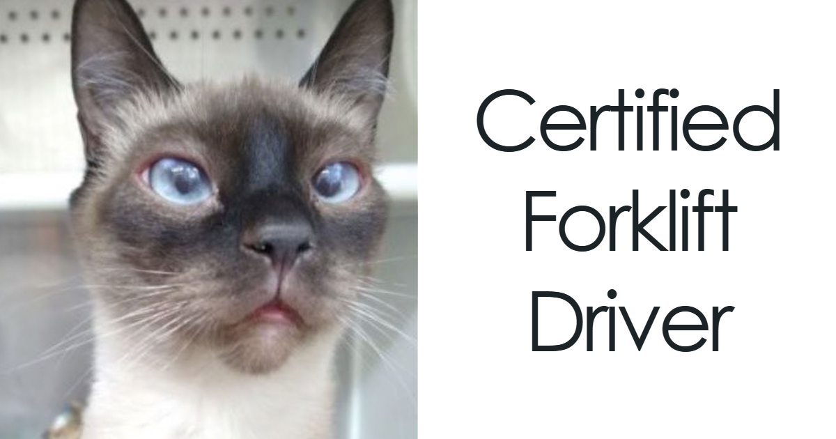44 Times Pet Names Were So Good They Deserved An Award