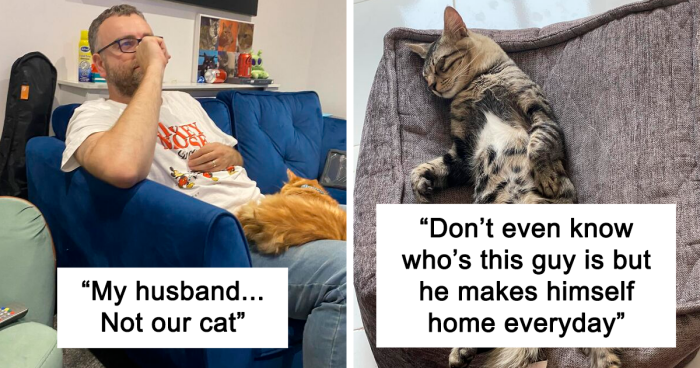 50 Hilariously Wholesome “My House, Not My Cat” Moments