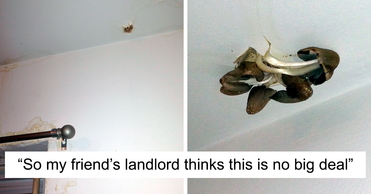 26 Times Landlords Neglected Their Tenants So Much, They Had To Take Pics As Evidence