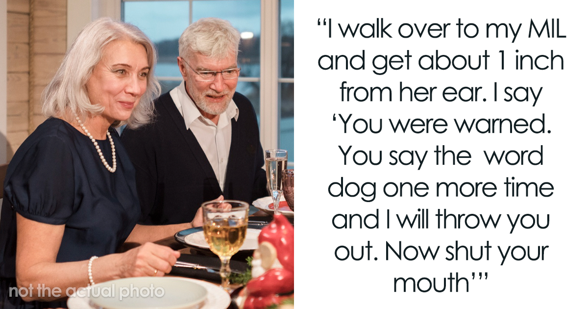 Toxic MIL Smirks While Poking At Grieving Kid Over Her Lost Dog On Christmas, Dad Blows Up At Her