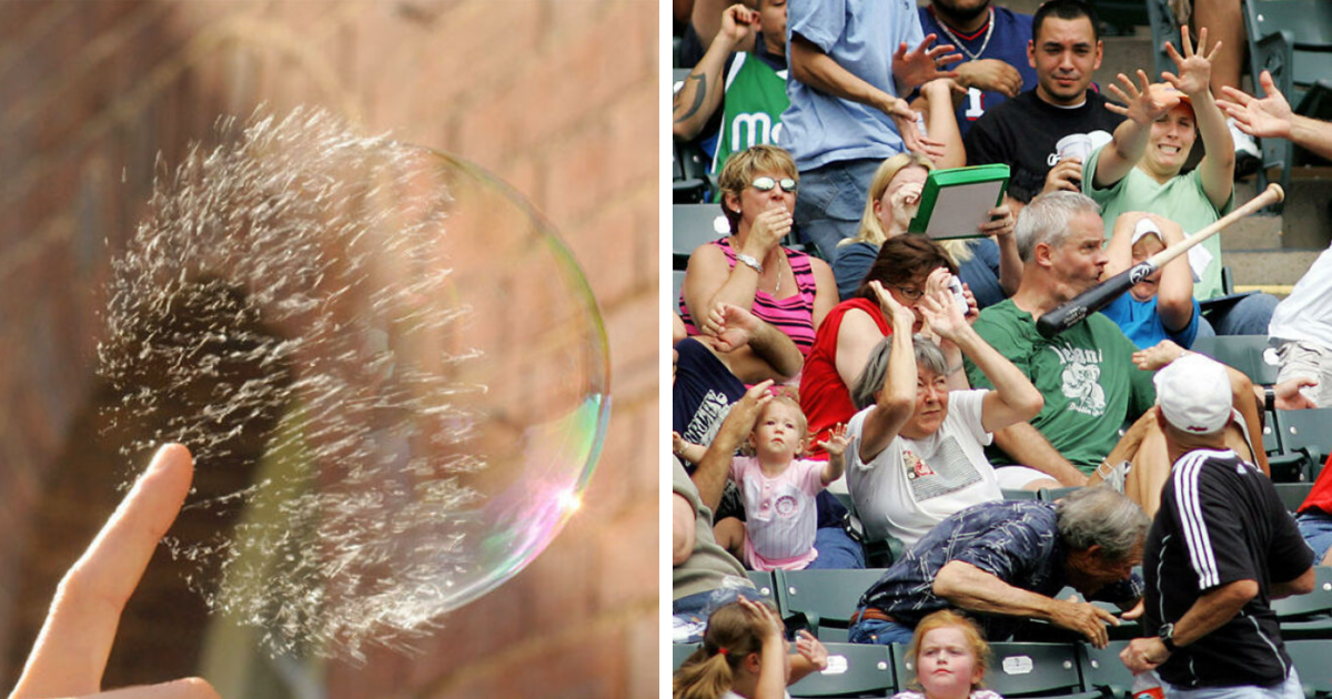 80 Times People Clicked The Button To Take The Photo At The Exact Right Time