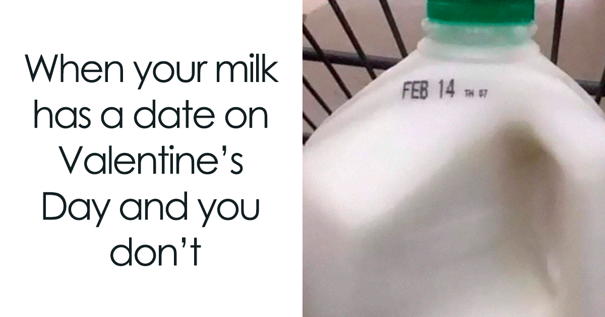 “This Isn’t Even Well-Done, It’s Congratulations”: 63 Hilariously Delicious Food Memes