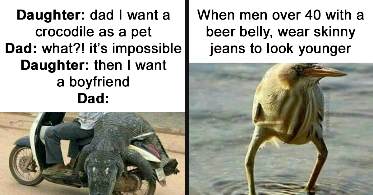 79 Funny Memes To Help You Disassociate In A Fun Way