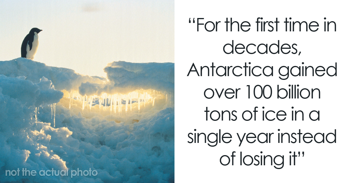 These 71 Compelling Facts And Stories Would Make Great Conversation Starters At A Dinner Party