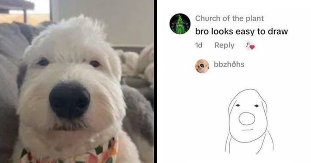 80 Hilarious Memes That Instantly Lift The Mood