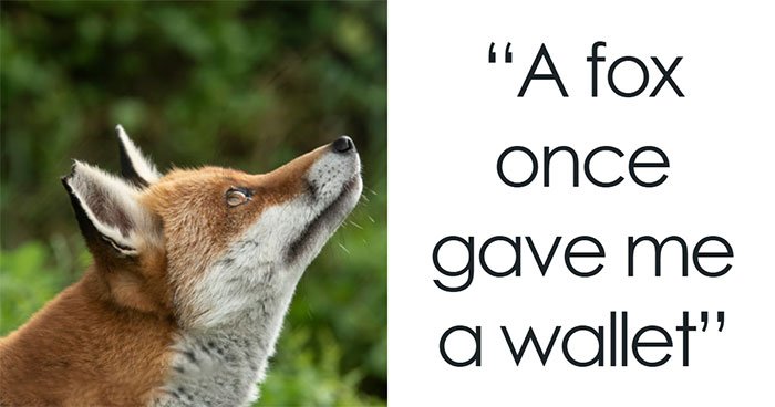People Start To Question If They Really Saw These 52 Things As Nobody Believes Them