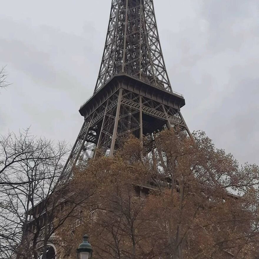 Eiffel Tower viewed from below on a cloudy day with trees in foreground illustrating global paid leave standards.