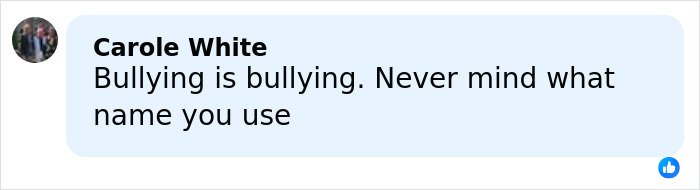 Comment on social media discussing bullying, related to Gen Z deciding on a name for the male Karen.