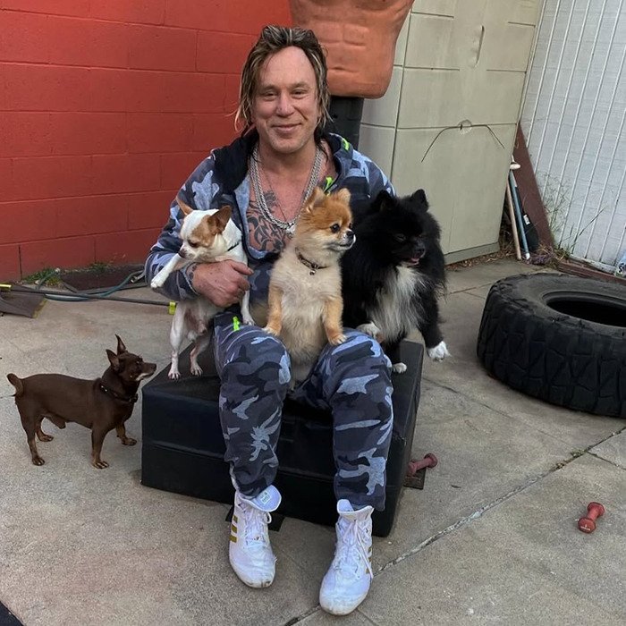 Mickey Rourke sitting outdoors with four dogs, wearing camouflage clothing, amid a casual backyard setting.