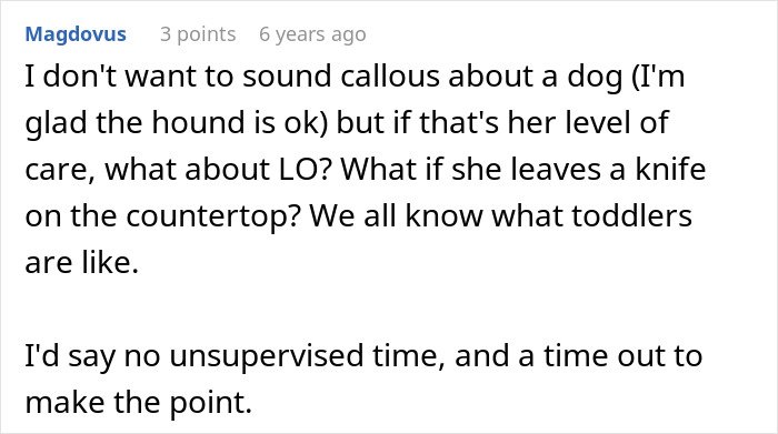 Comment discussing concerns about MIL poisoning family dog and the impact on child safety with no unsupervised time recommendations.