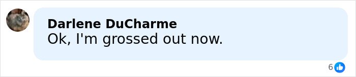 Comment saying Ok, I'm grossed out now, on a light blue background in a social media post about lifeless bodies used for BBLs and breast implants.