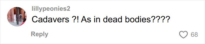 Social media comment questioning use of cadavers and dead bodies in BBLs and breast implants conversation.