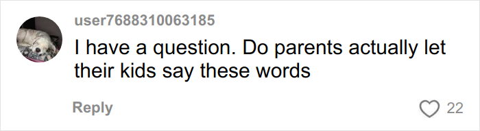 Comment questioning if parents allow their kids to use overused slang words experts say to banish in 2026.