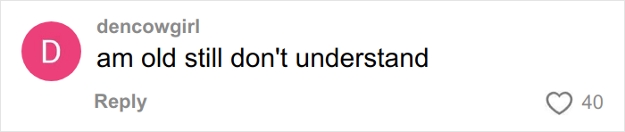 Comment on social media reading am old still don't understand, reflecting overused slang words to be banished in 2026.