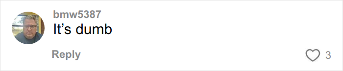 Screenshot of a social media comment with a profile picture and the overused slang phrase 