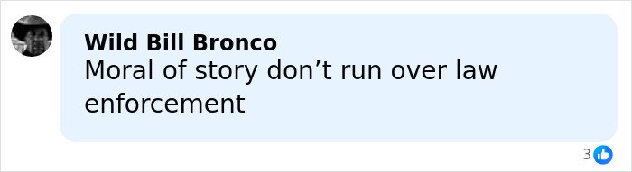 Comment by Wild Bill Bronco stating moral of story about not running over law enforcement on social media post.