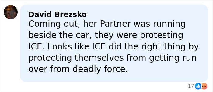 Comment text discussing ICE and a woman slain in her car in Minneapolis amid protests against ICE actions.