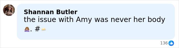 Social media comment about Amy Schumer trolling herself amid divorce and backlash over bikini photos.