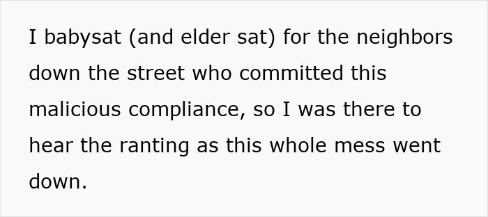 Text excerpt describing a neighbor’s experience babysitting during a dispute involving a power-trip HOA president harassing a couple.