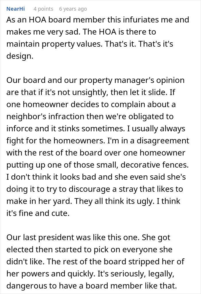 Comment from an HOA board member discussing conflicts with power-tripping HOA president and homeowner disputes.