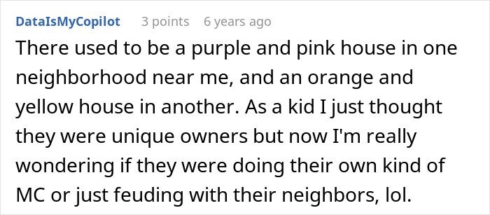 Comment on neighborhood houses discussing unique owners and possible conflicts relating to HOA president power-trip issues.