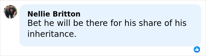 Comment by Nellie Britton expressing doubt about Brooklyn Beckham’s involvement in family inheritance amid legal feud.