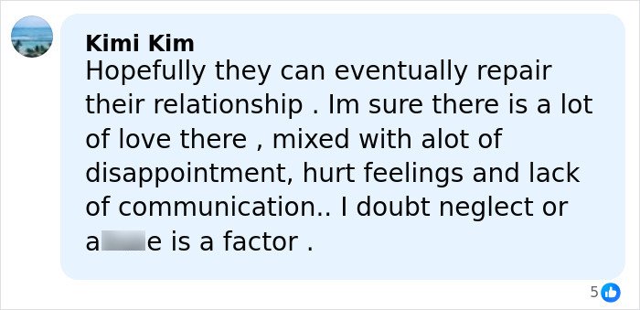 User comment expressing hope to repair Brooklyn Beckham's family feud involving legal issues with parents David and Victoria.