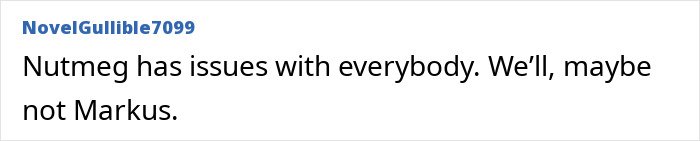 Text post from user NovelGullible7099 reading Nutmeg has issues with everybody. We’ll, maybe not Markus, referencing Meghan Markle’s alleged rift with mom Doria.