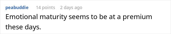 Screenshot of a Reddit comment discussing emotional maturity amidst fiancée’s obsession with her bully causing relationship issues.