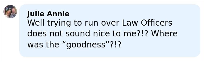Comment by Julie Annie expressing concern about running over law officers, related to Renee Good’s wife breaking silence on fatal ICE incident.