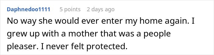 Comment text on a white background about a woman stealing a 5-year-old niece’s skirt and lying when caught.