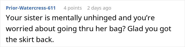 Comment text discussing a woman stealing her 5-year-old niece’s skirt and the concern about recovering it.