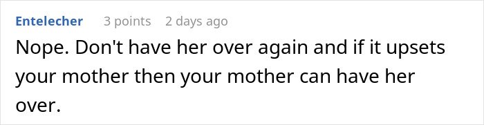 Screenshot of a social media comment discussing a family dispute involving a woman stealing her 5-year-old niece’s skirt.