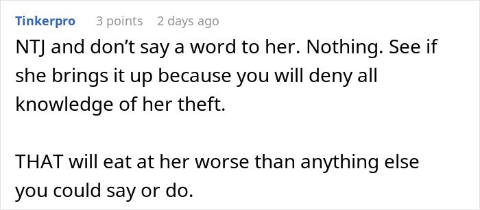 Comment on forum discussing woman stealing 5-year-old niece’s skirt and lying when caught red-handed.