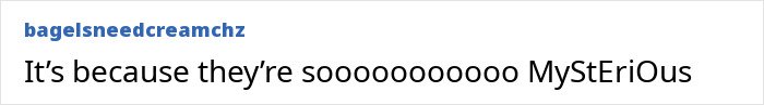 Screenshot of an online comment discussing the mysterious nature of the Timothée Chalamet and Kylie Jenner Golden Globes fight.