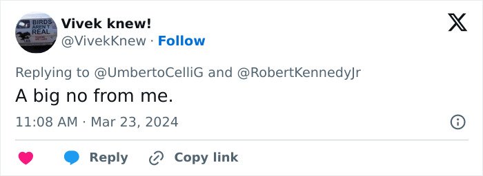 Screenshot of a tweet reply stating a firm no, referencing Alicia Silverstone glitching at the Golden Globes viral moment.