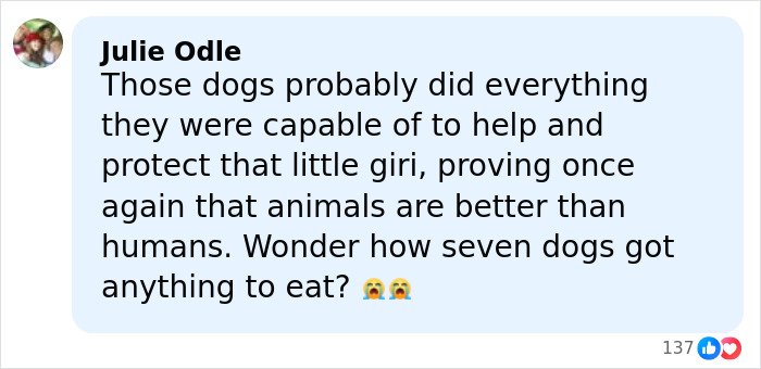 Facebook comment by Julie Odle expressing sorrow over a girl abandoned in mobile home for a year situation.