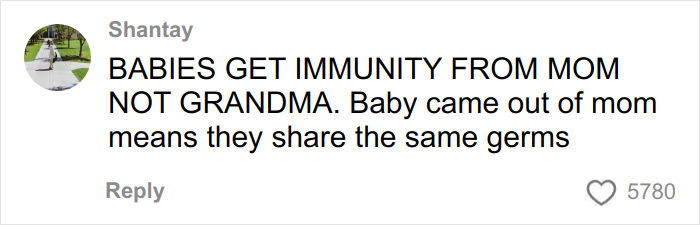 Alt text: Social media comment on baby immunity, reflecting opinions on grandma not kissing baby viral reminder.