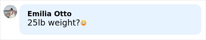 Comment box with user Emilia Otto questioning the mention of a 25-pound weight related to a jealous girlfriend and gym fight.