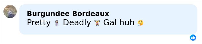 Comment reading "Pretty Deadly Gal huh" on a social media post about a jealous girlfriend accused of throwing a gym weight.