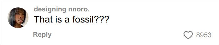 Comment on social media saying That is a fossil with 8,953 likes about viral Dior handbag Vinted listing.