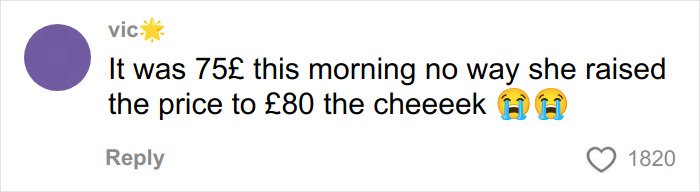 Comment on a viral Vinted listing discussing price change for a Dior handbag, highlighting strong emotional reactions.