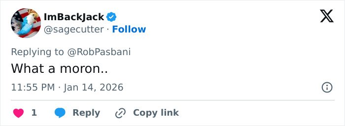 Tweet on a social media platform showing a user replying with the comment What a moron.